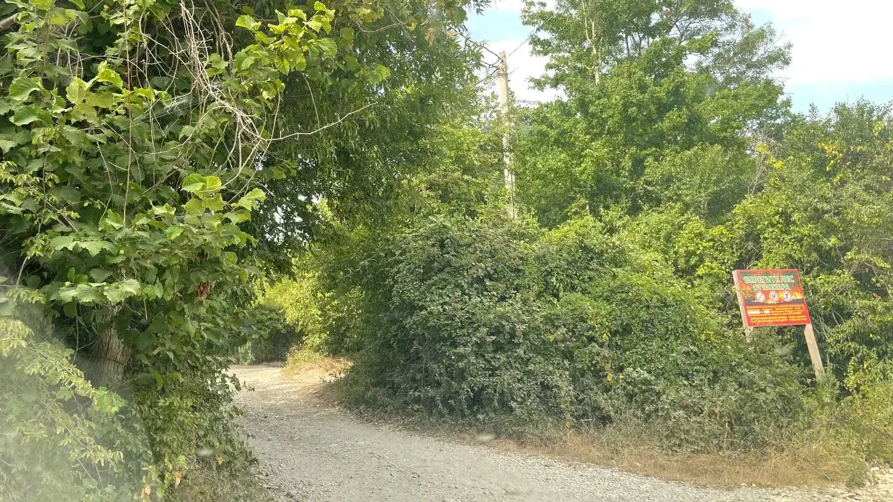 image_6